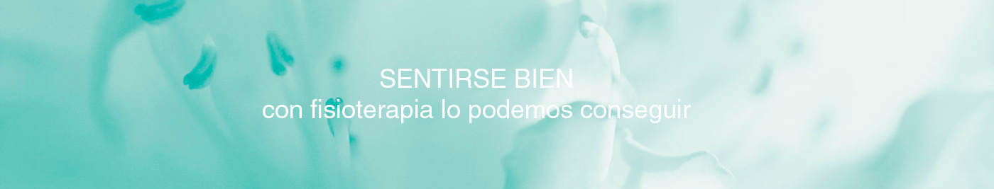 Fisioterapia Castellón Teresa Gómez Vives, fisioterapeuta